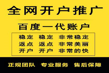 百度竞价代运营成功案例解析